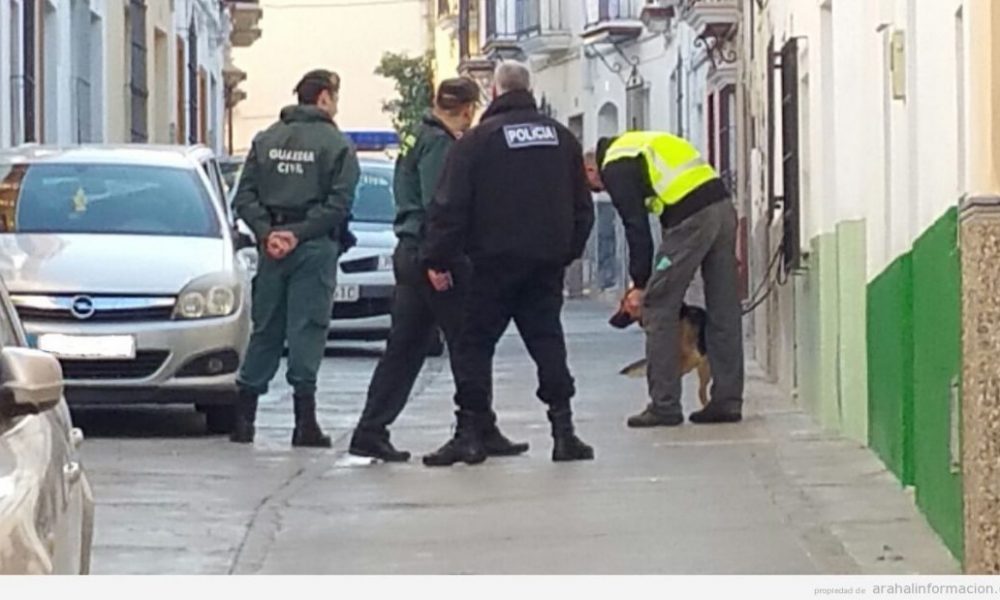 guardia mod