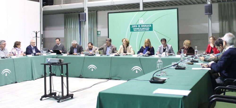 151210 Consejo Andaluz del Olivar