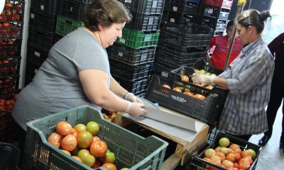 Sevilla, segunda provincia andaluza con la mejor balanza comercial en lo que va de año