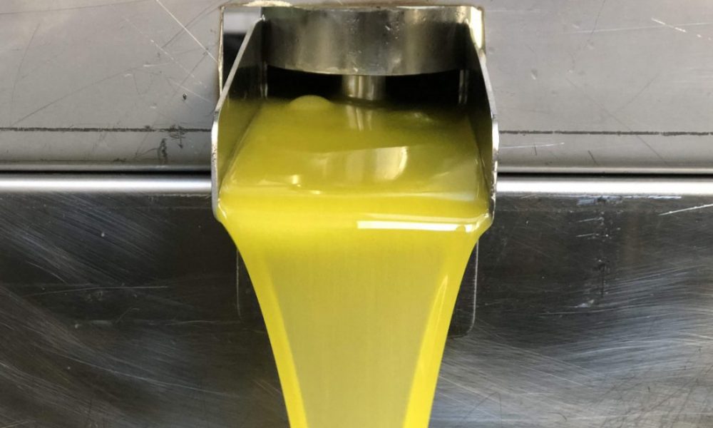 COAG valora positivamente que Agricultura vaya contra del almacenamiento de aceite del exterior en los depósitos de Patrimonio