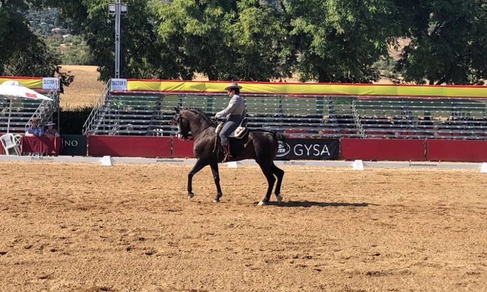 campeón-España-doma-vaquera