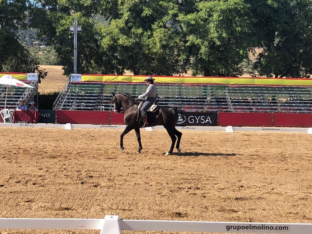 campeón-España-doma-vaquera