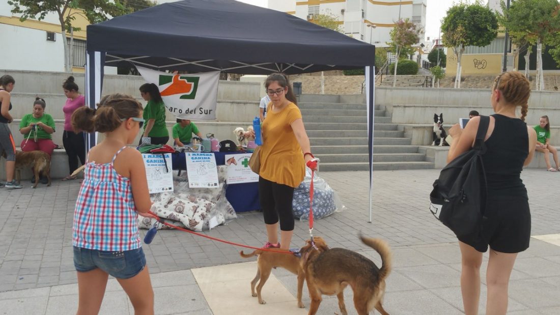 bendición de mascotas por San Antón