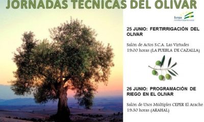 Expertos en el olivar participan en dos jornadas técnicas a celebrar en Arahal y La Puebla