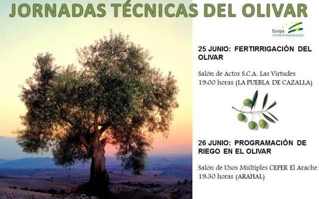 Expertos en el olivar participan en dos jornadas técnicas a celebrar en Arahal y La Puebla
