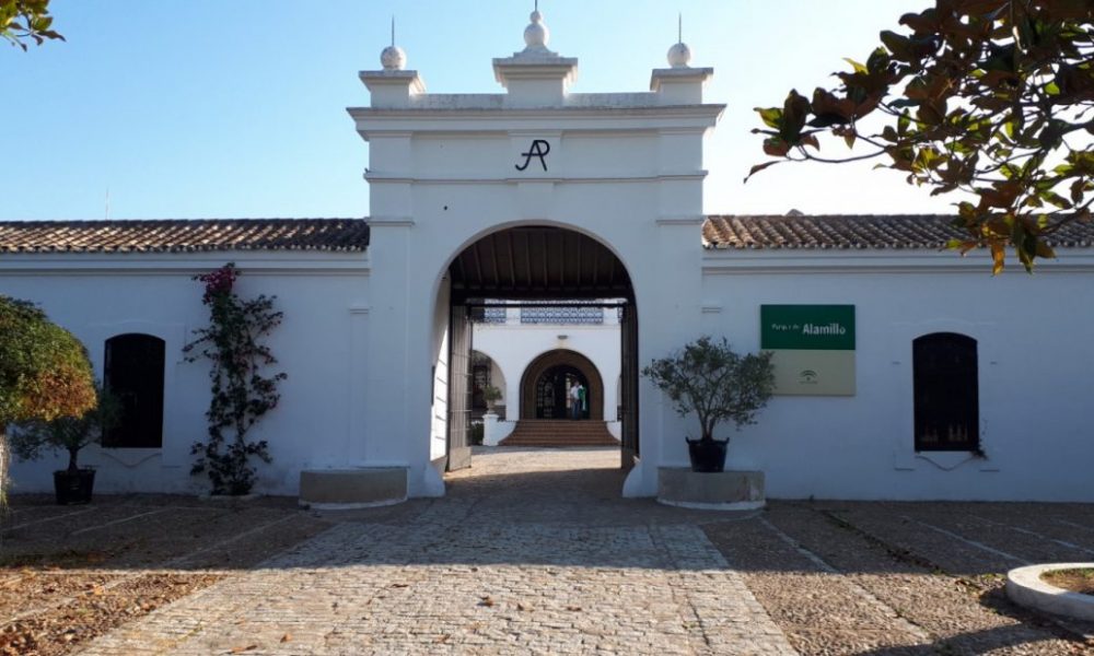 Veranillos del Alamillo2