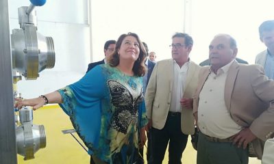 La consejera de Agricultura defiende la cultura del olivar durante una visita a Oleoestepa