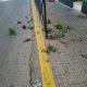 Un hombre en estado de embriaguez destroza las flores de la zona del bar en Arahal