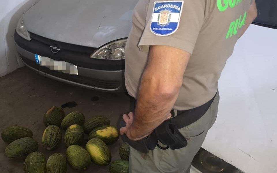 melones