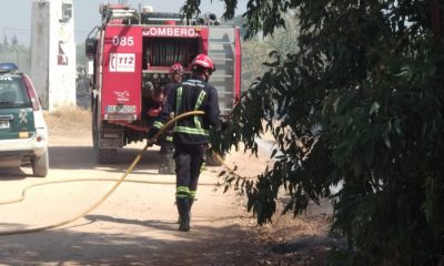 Extinguido un incendio que ha afectado a varias parcelas en Llano Verde