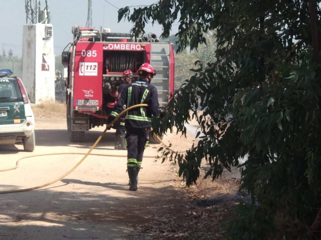 Extinguido un incendio que ha afectado a varias parcelas en Llano Verde