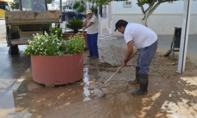 La "gota fría" provoca en a Sierra Sur graves daños en la cosecha de aceitunas