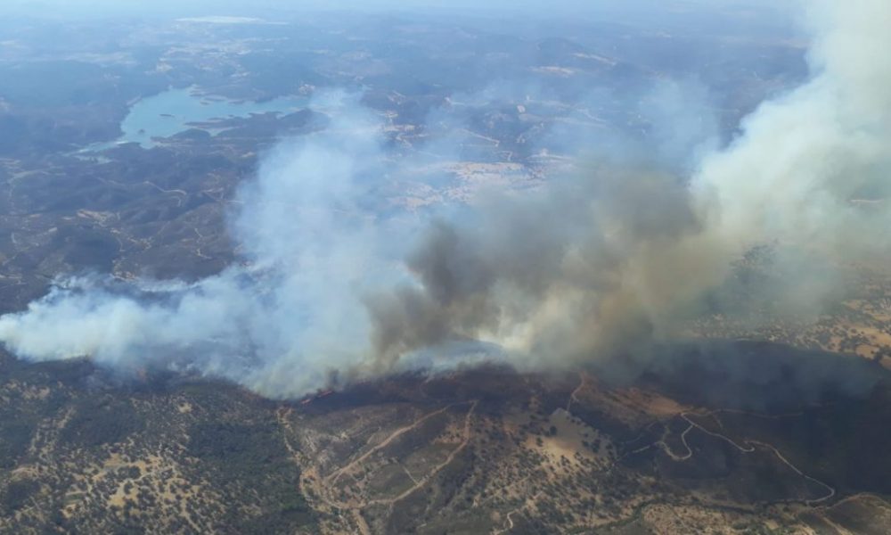 Incendio Madrono