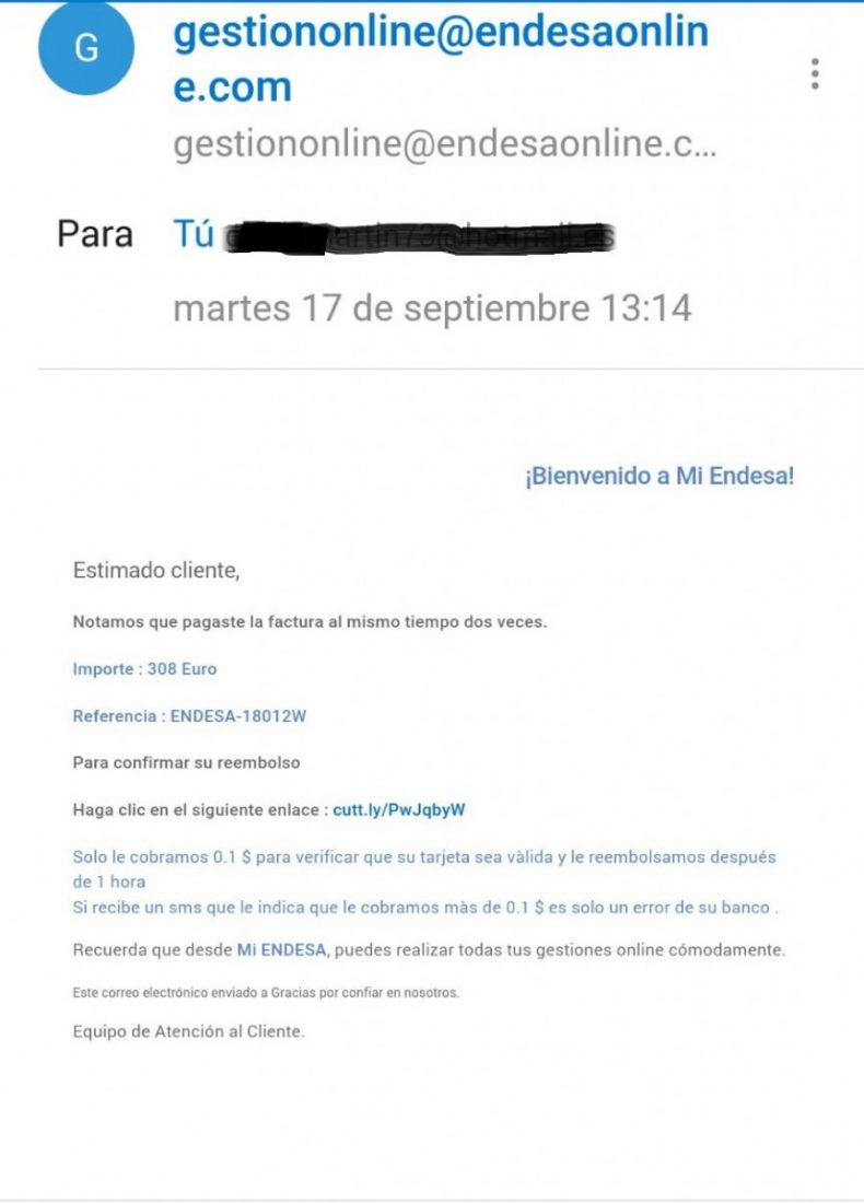 Denuncian una nueva estafa en nombre de Endesa que llega por correo electrónico