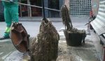 Aumenta la presencia de toallitas húmedas en la red de depuración durante el confinamiento