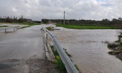 Arahal formará parte del plan de limpieza de arroyos y cauces de la CHG