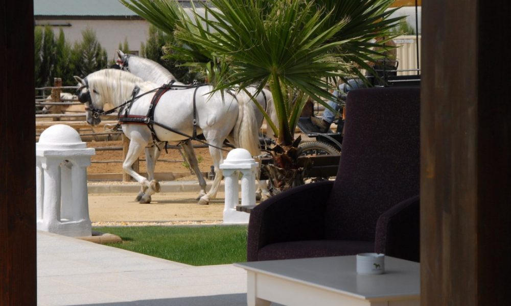 Turismo Extrahotelero