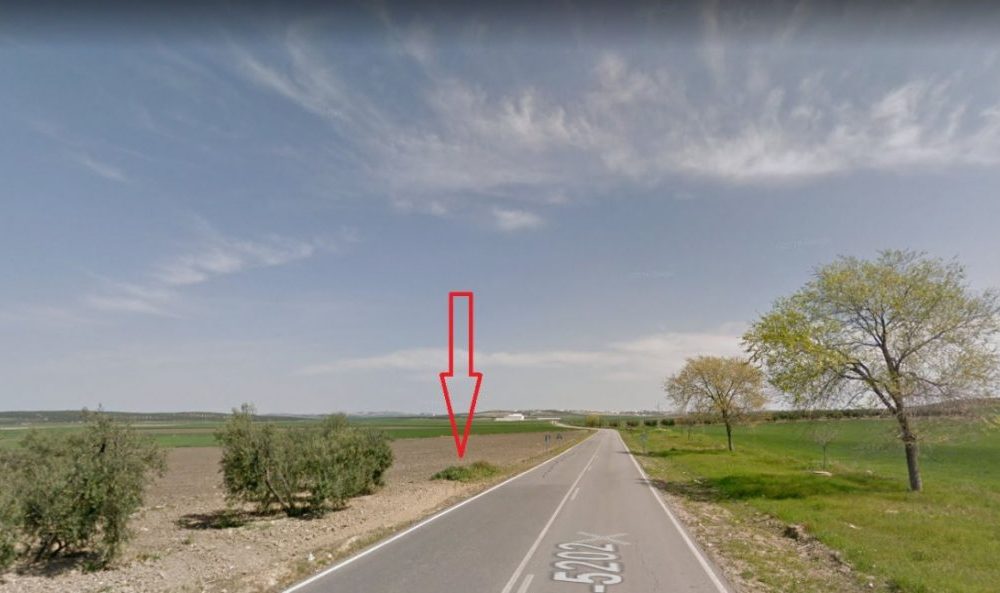 Encuentran un galgo abatido por perdigones a la salida de Arahal