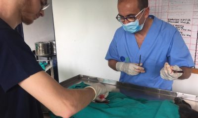De Morón a Nepal, un viaje para vacunar contra la rabia a cientos de perros 