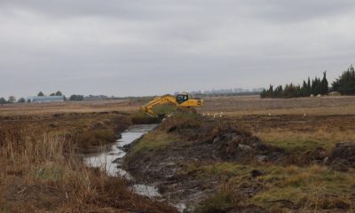 "Limpiar los cauces no soluciona el problema de las inundaciones", según Ecologistas en Acción "Jaedilla"