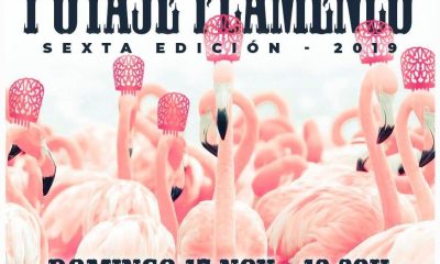 Sexta Edición del Potaje Flamenco, el domingo 17 en Benacazón