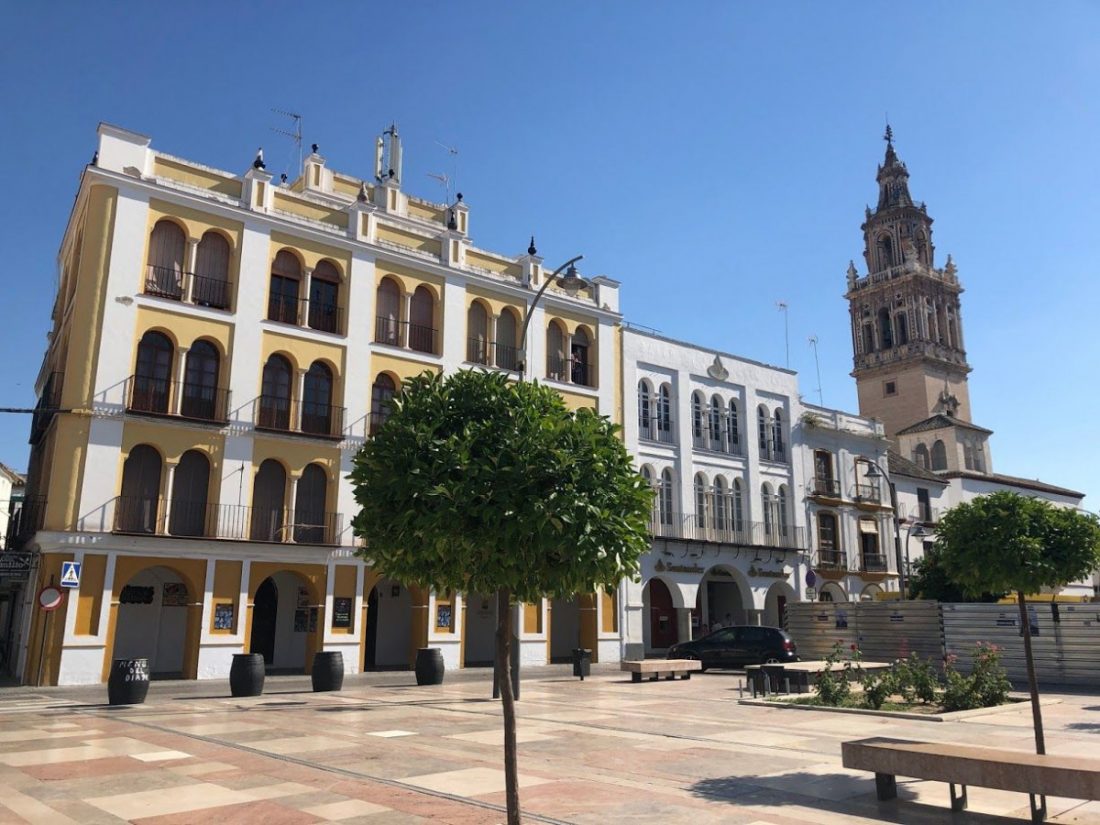 Cultura autoriza trabajos de localización para la exhumación de víctimas en cuatro provincias