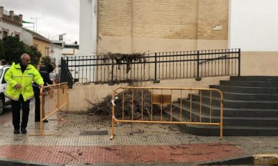 El viento tira el nido de la iglesia de la Victoria de Arahal instantes antes de pasar un vecino