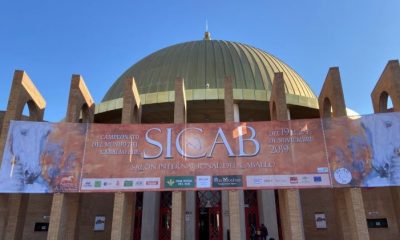 SICAB 2019 arranca con la participación de las mejores caballos pura raza española del mundo