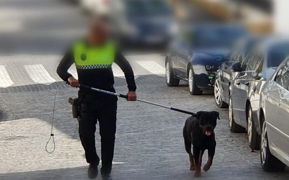 Policía de Osuna resulta herido al intentar atrapar a un perro peligroso suelto en una zona infantil