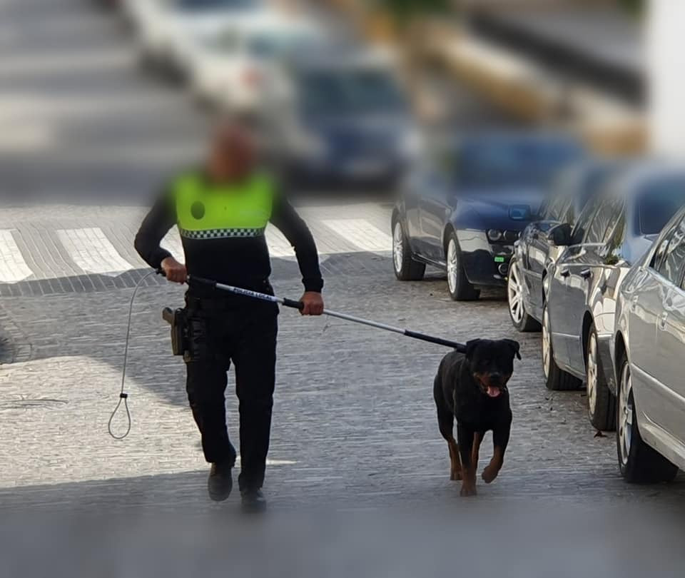 Policía de Osuna resulta herido al intentar atrapar a un perro peligroso suelto en una zona infantil