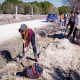 Quedada en Arahal para regar los árboles de la reforestación ecofeminista