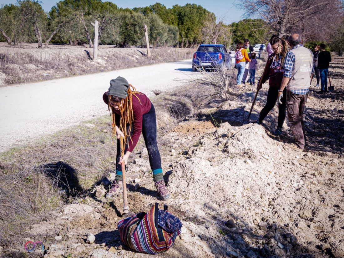 Quedada en Arahal para regar los árboles de la reforestación ecofeminista