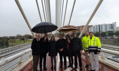 El puente del Alamillo goza de "excelente estado de salud", según Fomento