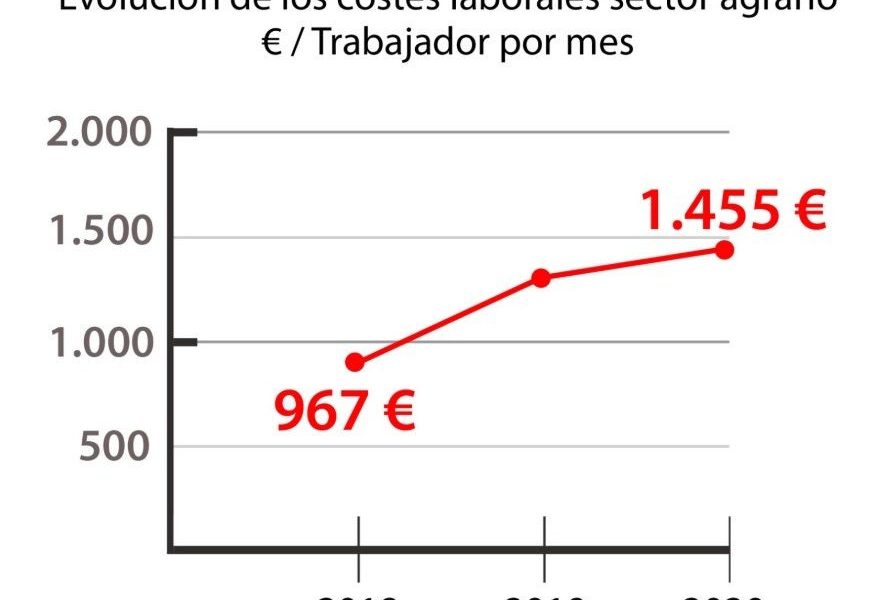 COAG: La subida del SMI disparará un 50,4% los costes laborales para los agricultores