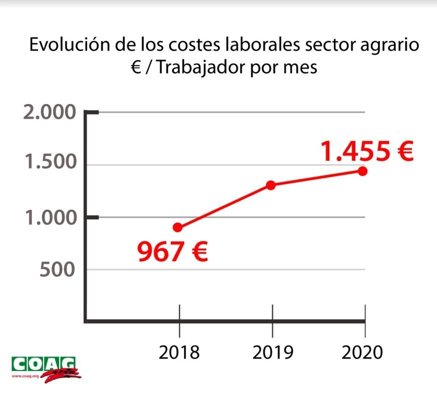 COAG: La subida del SMI disparará un 50,4% los costes laborales para los agricultores