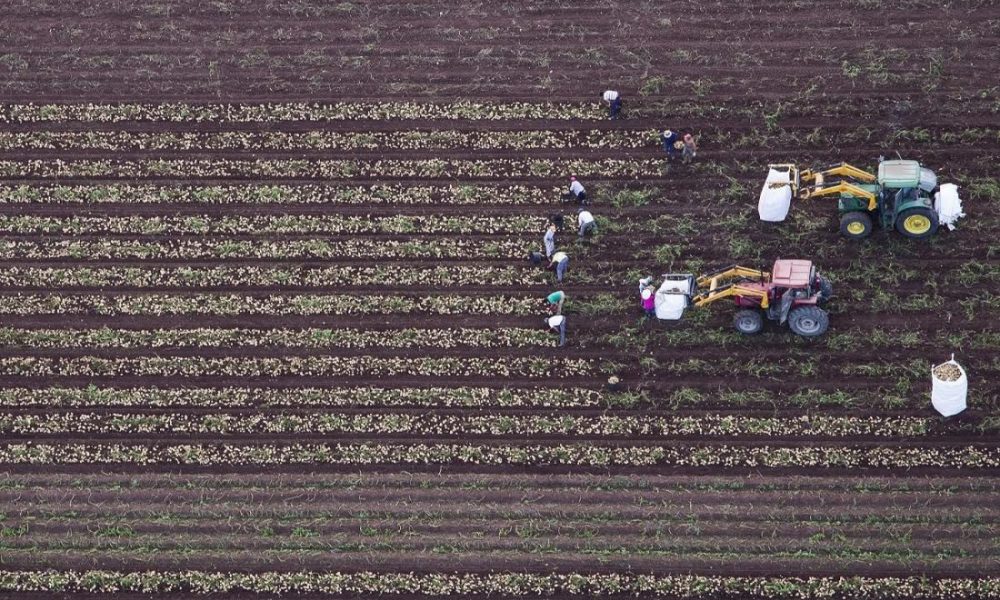 Fallado el concurso de fotografía ‘Medio Rural en Andalucía 2019’ en el que han participado 673 trabajos de 108 personas