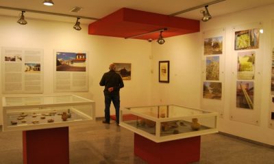 El Museo de Alcalá acoge una reflexión artística sobre el olivo como cultura milenaria