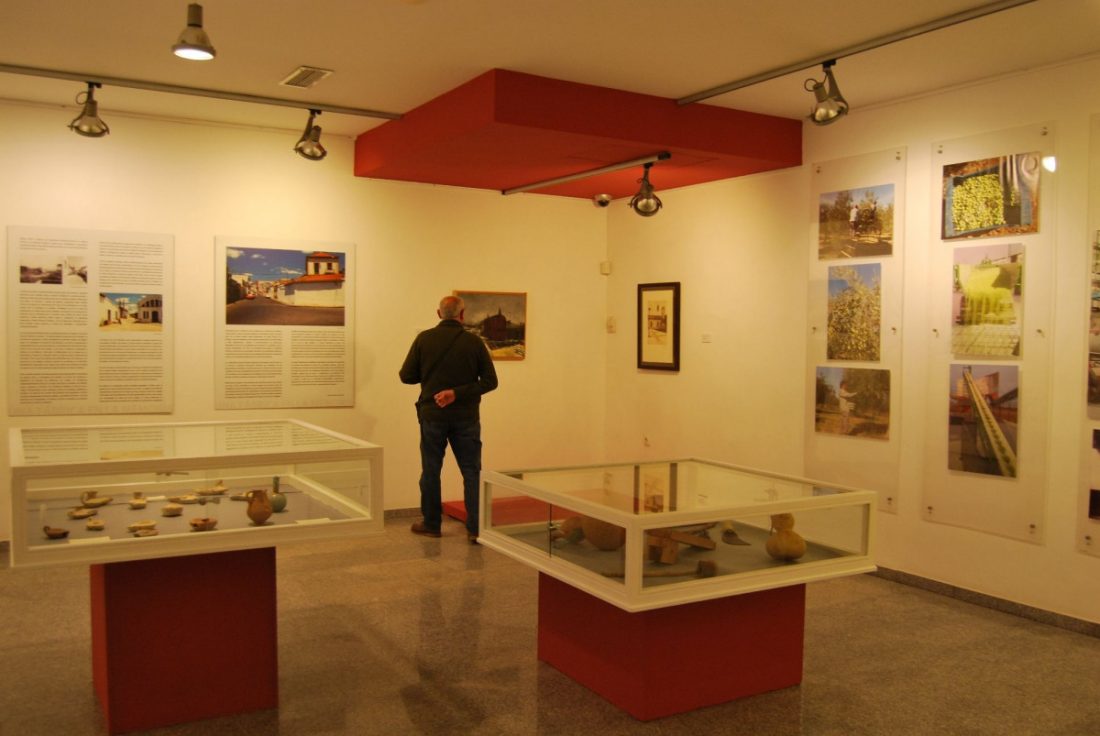 El Museo de Alcalá acoge una reflexión artística sobre el olivo como cultura milenaria