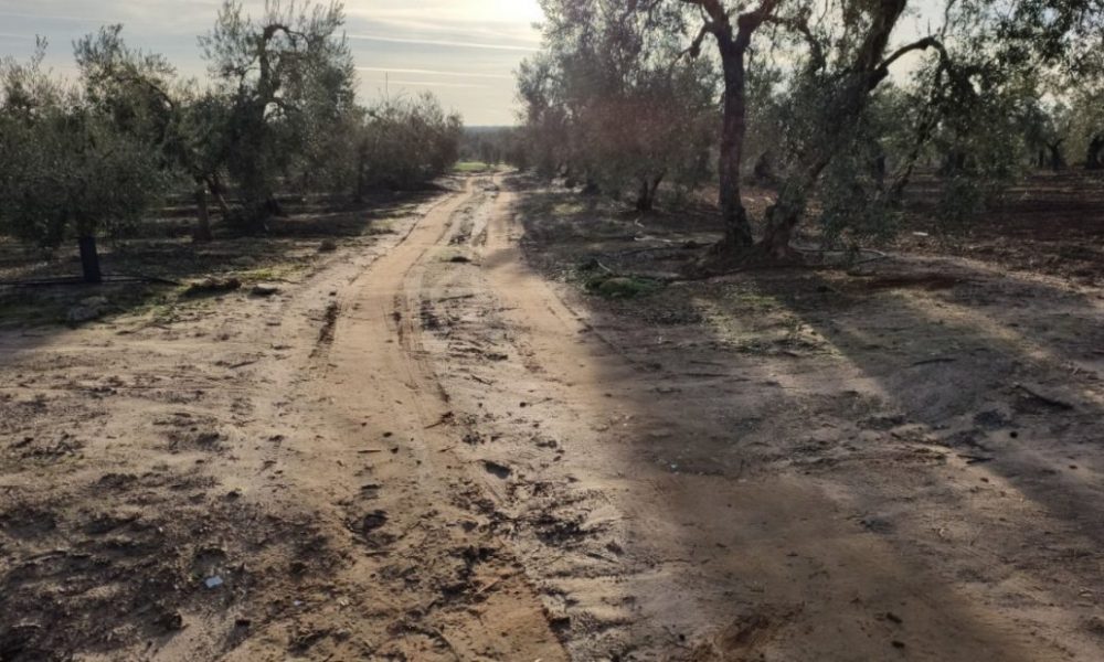 Arahal, Paradas y Marchena entran en el Plan Itínere para el arreglo de caminos rurales