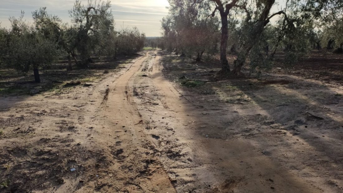 Arahal, Paradas y Marchena entran en el Plan Itínere para el arreglo de caminos rurales