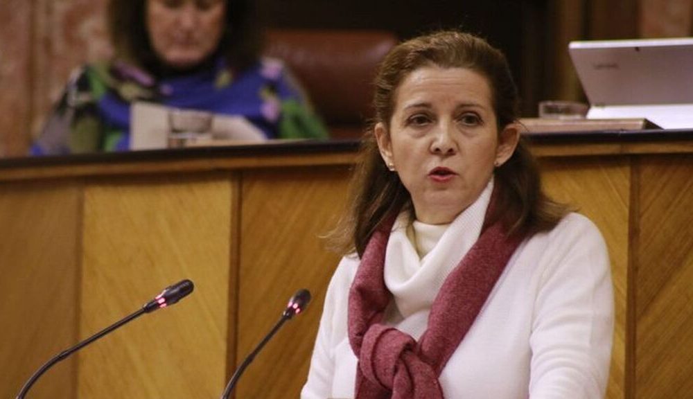 vox presidenta