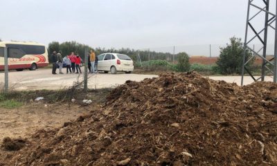 Los habitantes de Llano Verde en Arahal se sienten vecinos de segunda 