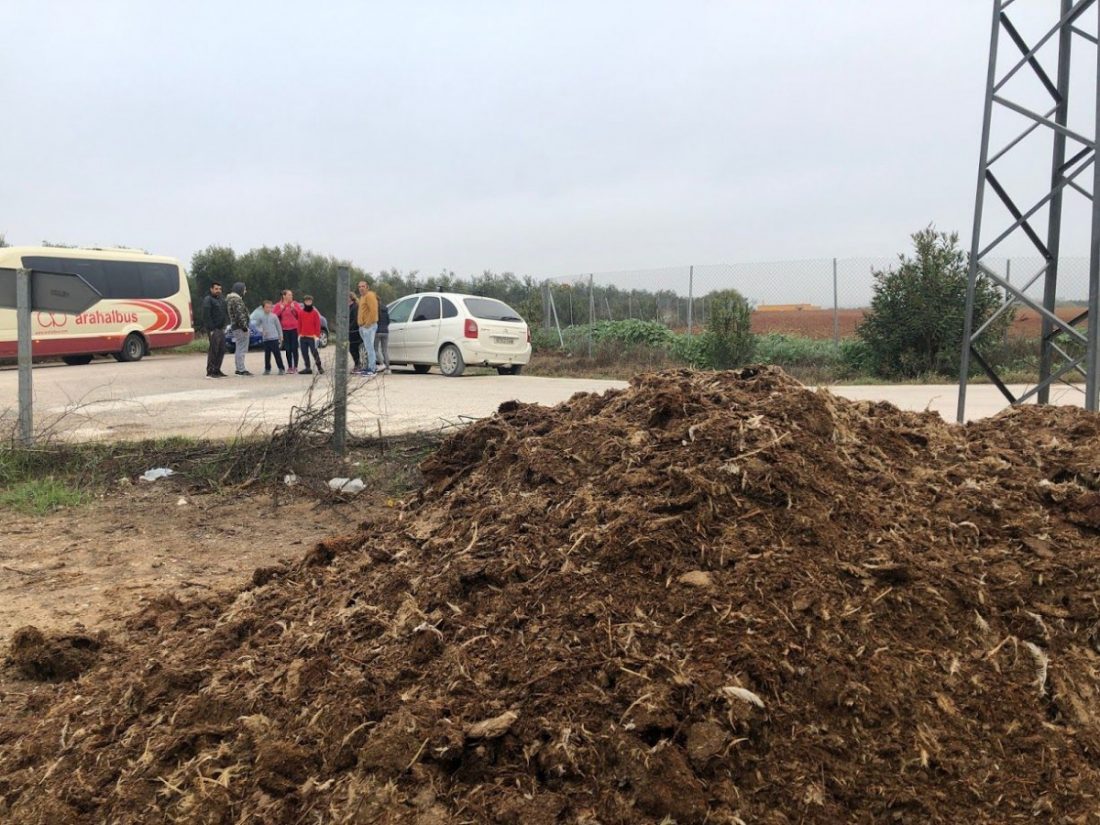 Los habitantes de Llano Verde en Arahal se sienten vecinos de segunda 