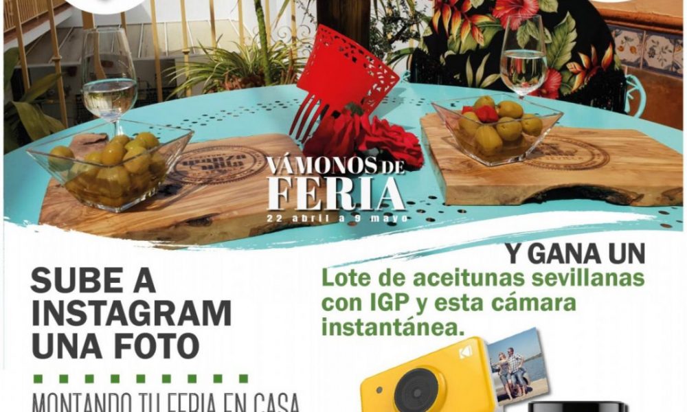 IPG concurso