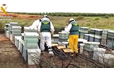 Detenido por robar más de 200 colmenas en Sevilla por valor de más de 30.000 euros