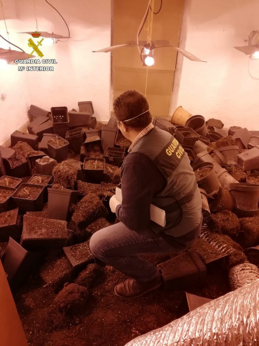 Desmantela en la Roda de Andalucía una plantación indoor de marihuana