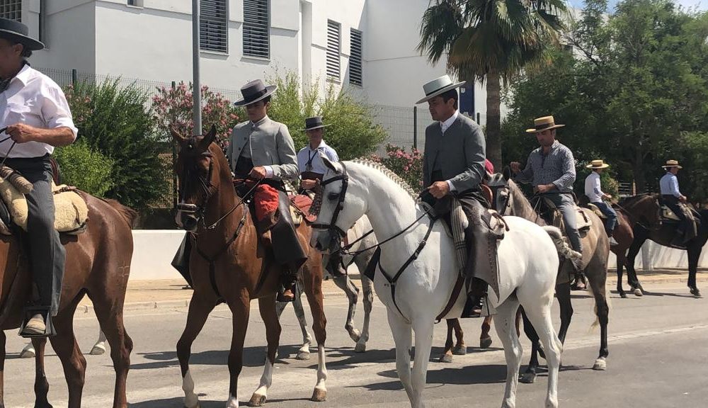 Medidas a tener en cuenta si montas a caballo, considerada práctica deportiva no profesional