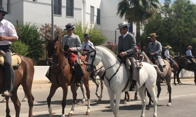 Medidas a tener en cuenta si montas a caballo, considerada práctica deportiva no profesional