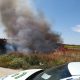 Registrado un incendio en un campo de trigo junto a la Vereda de Sevilla, en Arahal
