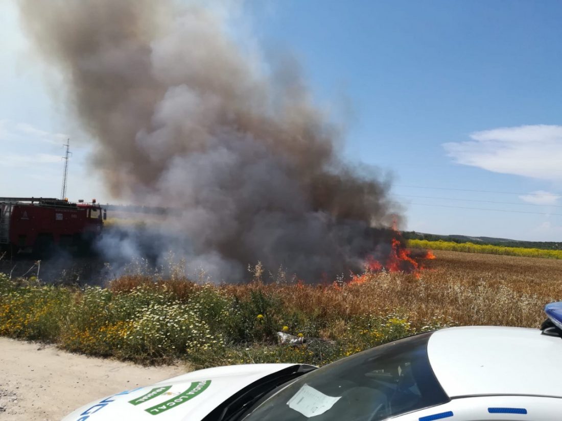 Registrado un incendio en un campo de trigo junto a la Vereda de Sevilla, en Arahal